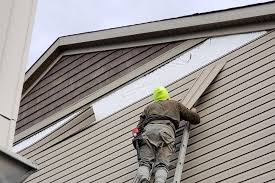 Affordable Siding Repair and Maintenance Services in La Joya, TX